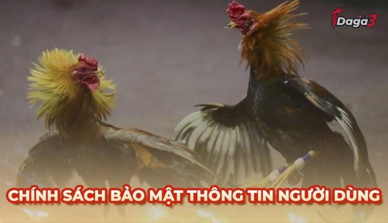Chính sách bảo mật thông tin người dùng tại inspiral.agency