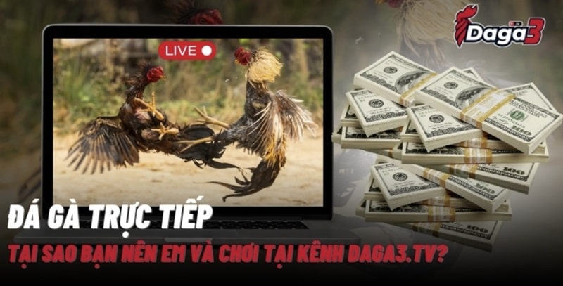 Giới thiệu về kênh đá gà trực tiếp thomo inspiral.agency