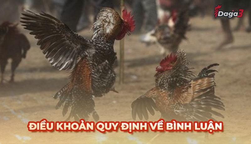 Người dùng cần tuân thủ một số điều khoản khi bình luận trên inspiral.agency