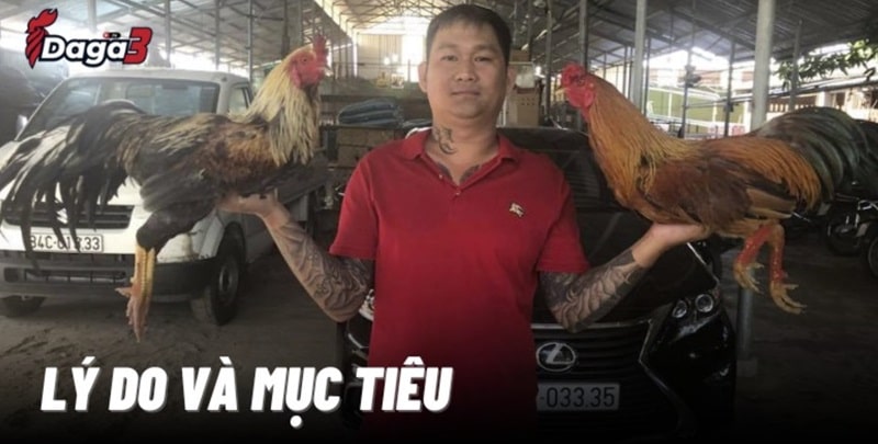 Mít Trà Cú sáng lập trang đá gà trực tiếp inspiral.agency